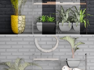 decorative set 3D Модель