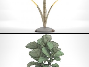ficus lyrata trees Modelo 3D
