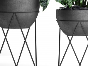plants collection pot Modèle 3D