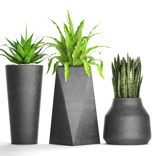 plants collection pot 3D Model .c4d .max .obj .3ds .fbx .stl .blend 