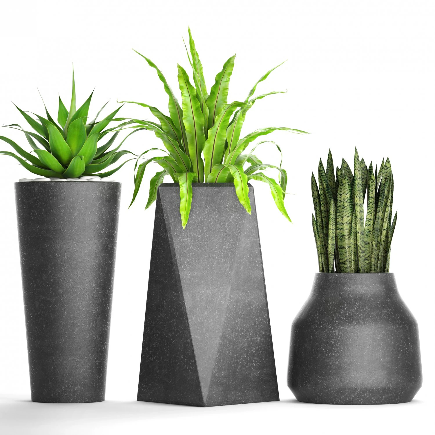plants collection pot 3D Model .c4d .max .obj .3ds .fbx .stl .blend 