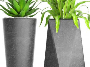plants collection pot 3D Model