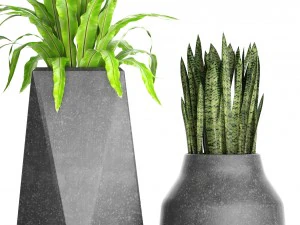 plants collection pot 3D Model