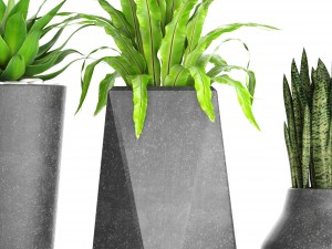 plants collection pot 3D Model