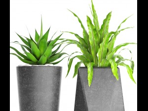 plants collection pot 3D Model