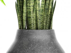 plants collection pot 3D Model