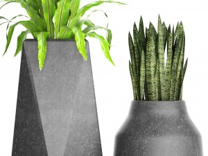 plants collection pot 3D Model