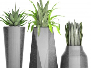 plants collection pot 3D Model