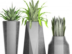 plants collection pot 3D Model