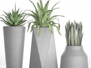 plants collection pot 3D Model