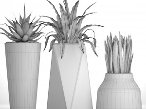 plants collection pot 3D Model