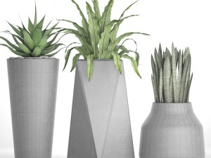 plants collection pot 3D Model