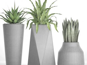 plants collection pot 3D Model