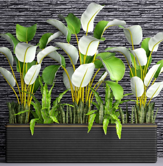 collection plants 3D Модель .c4d .max .obj .3ds .fbx .stl .blend 
