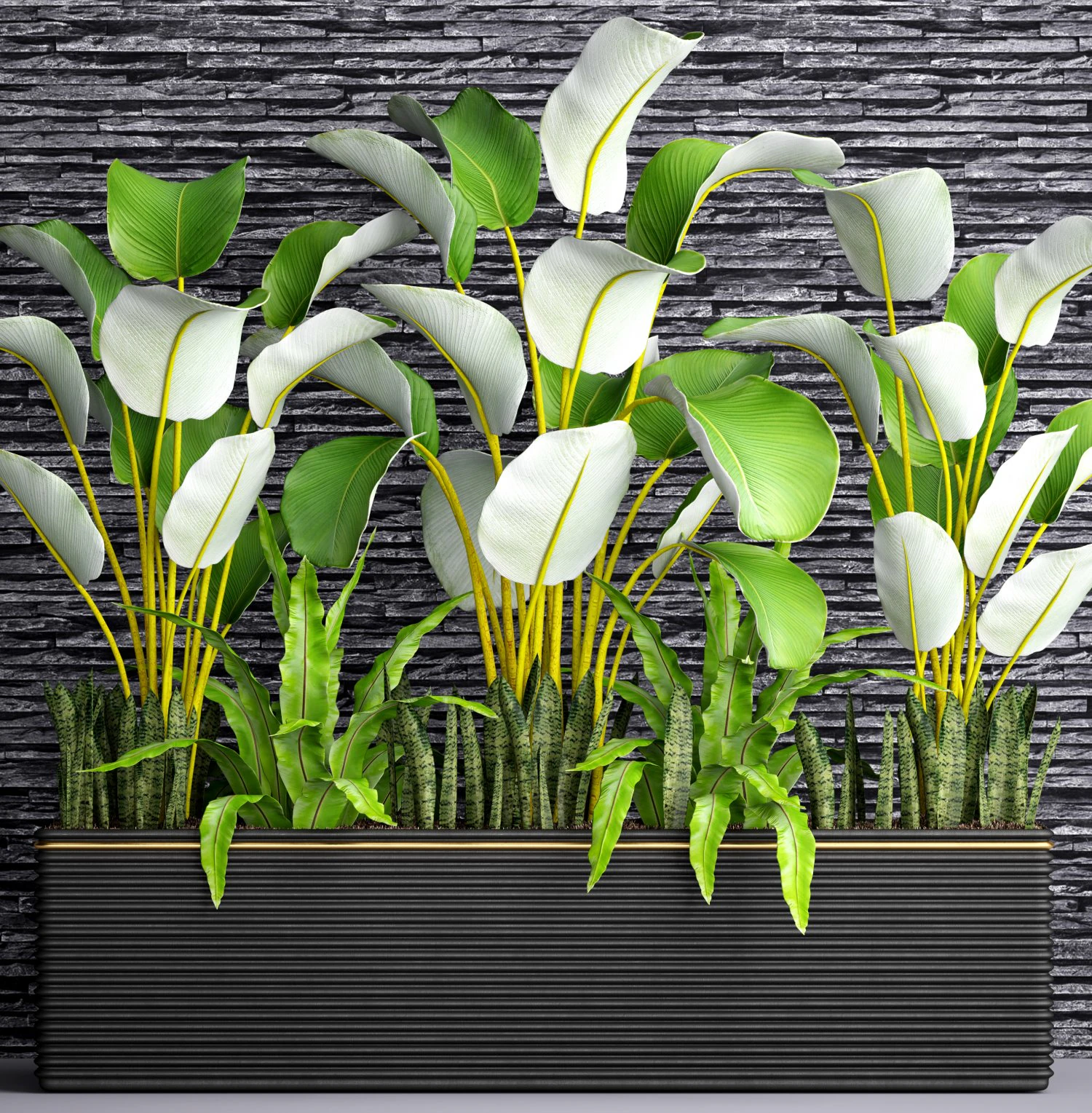 collection plants 3D Model .c4d .max .obj .3ds .fbx .stl .blend