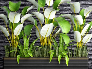 collection plants 3D Model