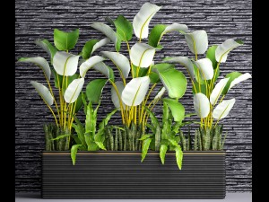 collection plants 3D Модель