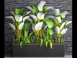 collection plants 3D Model
