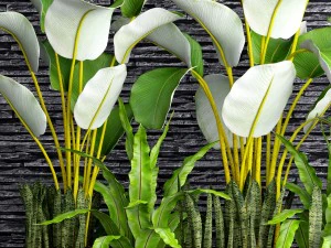 collection plants 3D Model