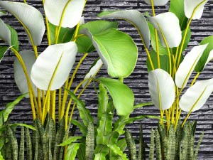 collection plants 3D Model