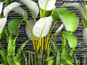 collection plants 3D Model