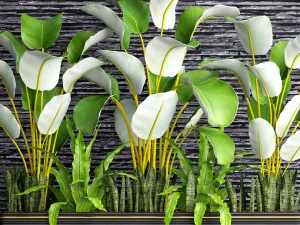collection plants 3D Model