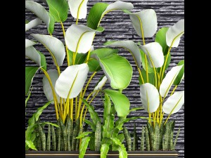 collection plants 3D Модель