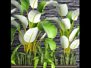 collection plants 3D Model