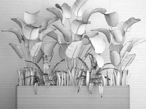collection plants 3D Model
