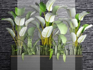 collection plants 3D Model