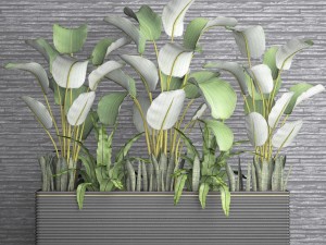 collection plants 3D Модель