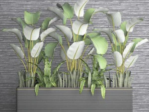 collection plants 3D Model