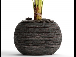 banana tree 3D Модель