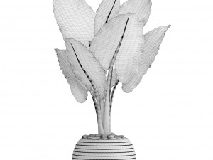 alocasia macrorrhiza Modelo 3D