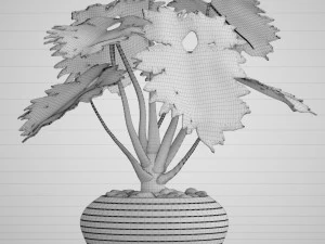 philodendron 3D Model