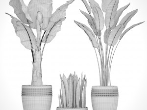 collection plants banana tree 3D Model