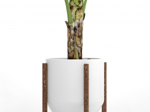 banana tree 3D 模型