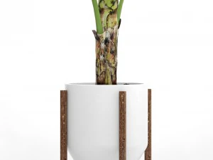 banana tree 3D Model
