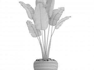 banana tree Modèle 3D