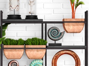decorative set 3D Модель