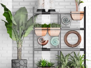 decorative set 3D Модель