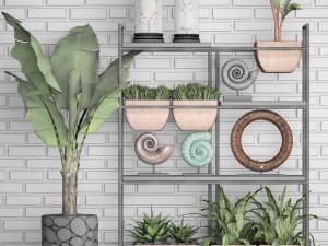 decorative set 3D Модель