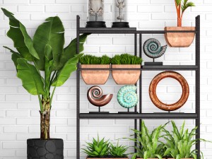 decorative set 3D Модель