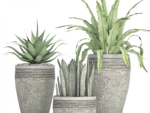 plants collection pot 3D Model