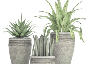 plants collection pot 3D Model