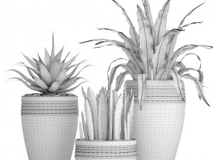 plants collection pot 3D Model
