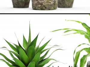 plants collection pot 3D Model