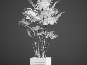 palm Modèle 3D
