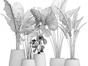 collection plants 3D Model