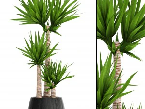 유카 코끼리 3D 모델